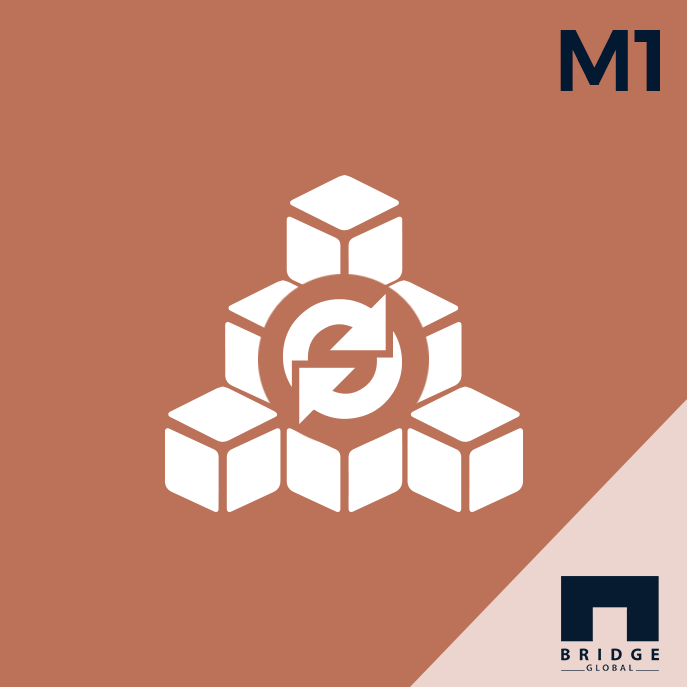Magento Bulk Update - 1.0.0
