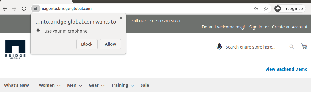 Magento 2 Voice Search - Image 4